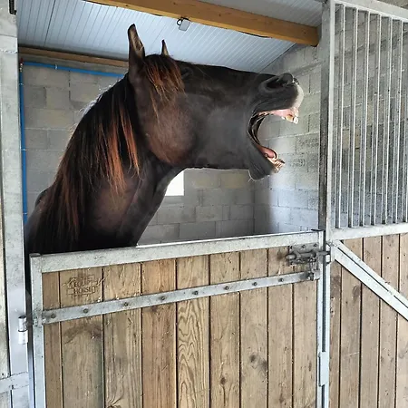 Apartamento Indépendant *