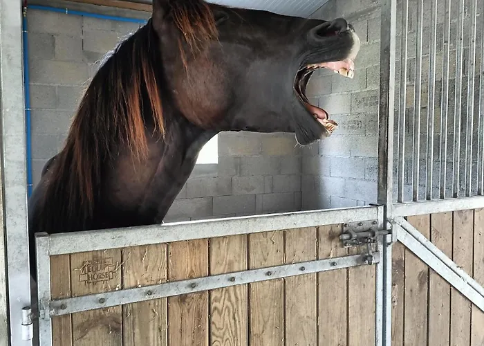 Apartment Independant *